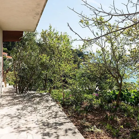 アパート Sestanovic