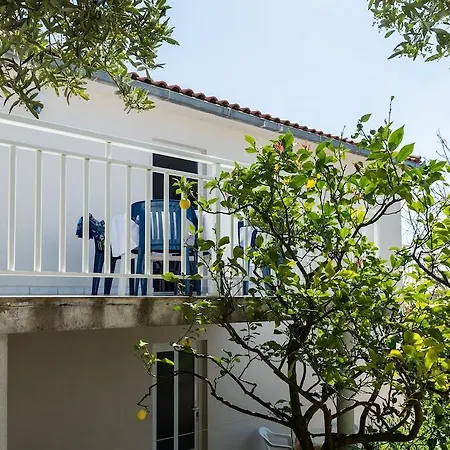 Sestanovic アパート *