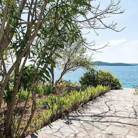 Sestanovic オレビック